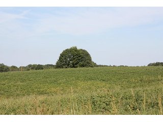 Property photo 53 - ILLINOIS LAND AUCTION - 705+/- ACRES OFFERED IN 16 TRACTS IN EDWARDS COUNTY, ILLINOIS